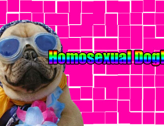 Youth Leader Criticizes Own ‘Gay’ Dog on Social Media