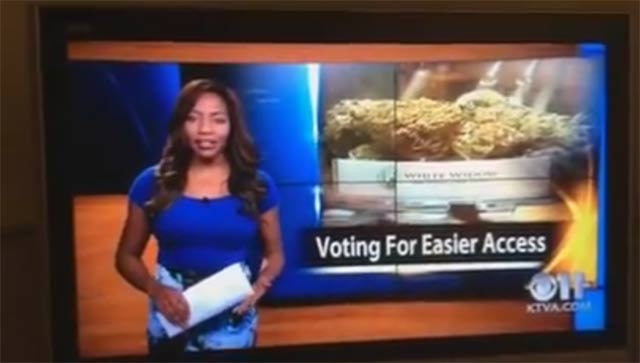 ‘F*ck it, I quit’: TV reporter Charlo Greene quits live on air in spectacular fashion