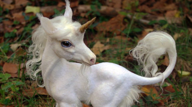 First Baby Unicorn Discovered