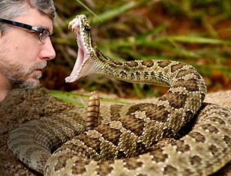 Man Dares Rattlesnake To Bite His Face