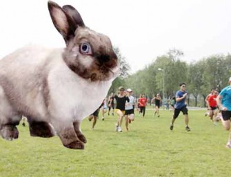 Giant Rabbit Continues “Photobombing” Rampage