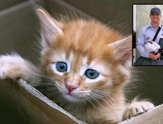 Postman Saves Trapped Kitten From Mail