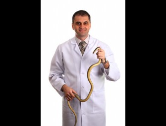 Doctor Says Eating Wild Snakes Stops Hair Loss
