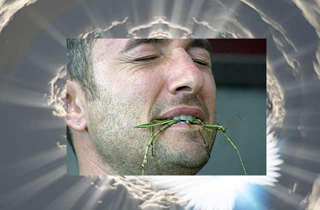 Alabama Church Converting Insects To Christianity