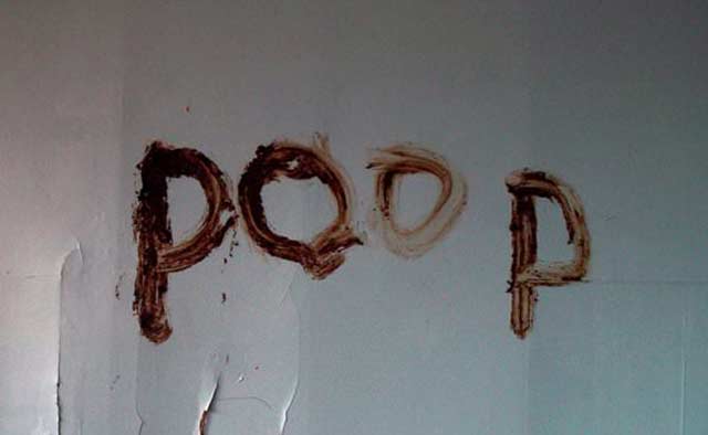 poop-on-wall