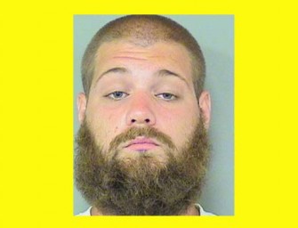 Florida Man used lawnmower to hunt and kill ducklings