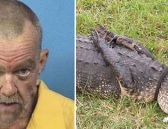 Florida Man Arrested for Having Sex with an Alligator