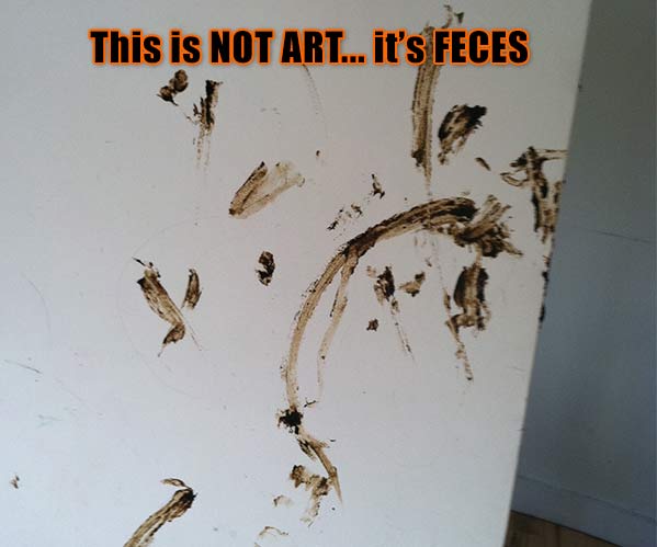 feces-on-wall