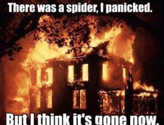 Woman Sets Duplex On Fire Trying To Burn Spider