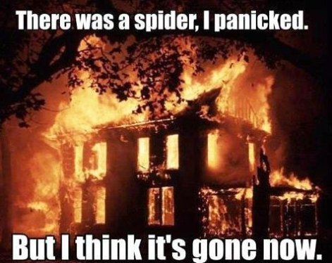 spider-house-fire